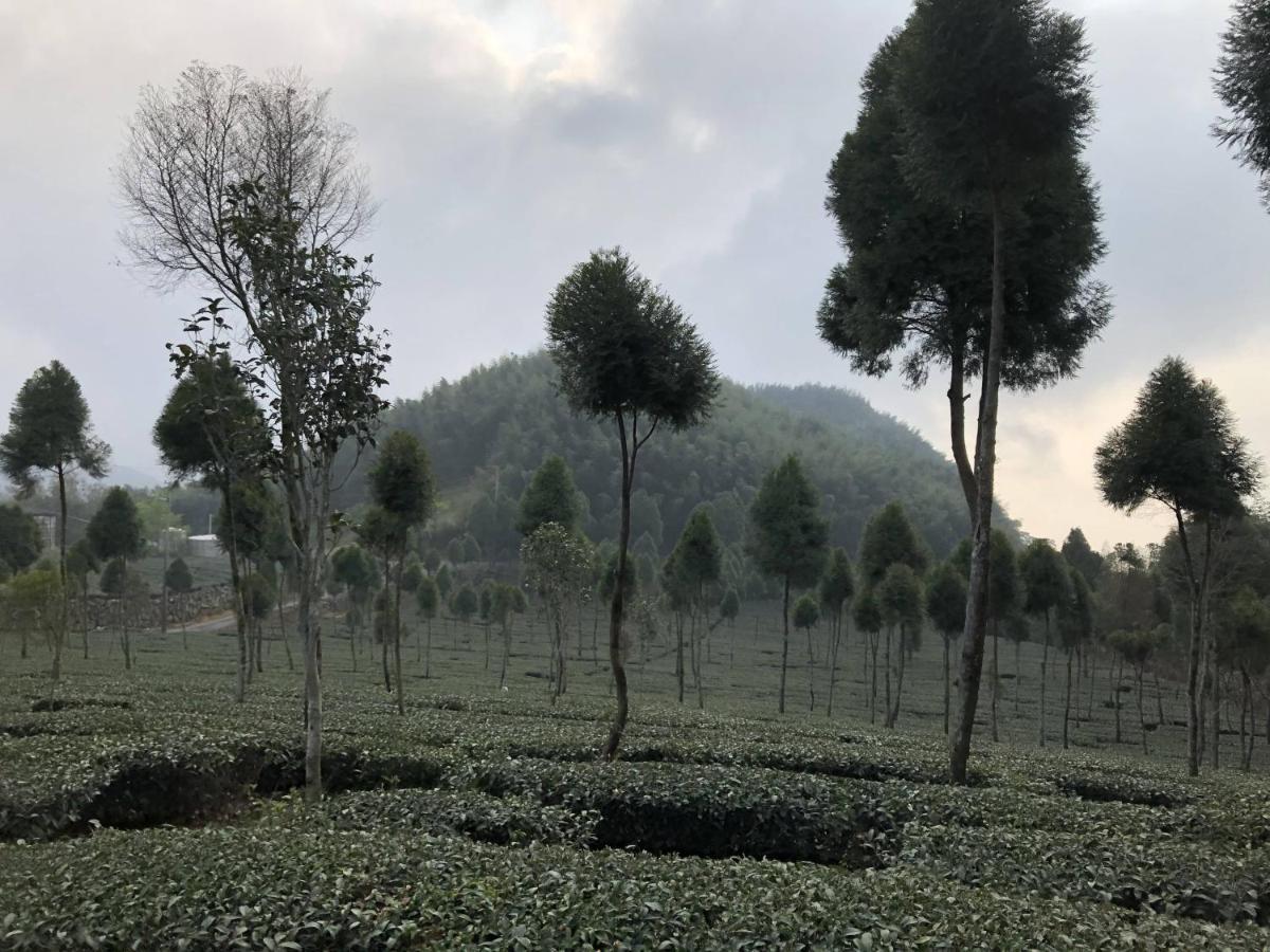 悟 佐茶 Satori Tea Villa Leye Eksteriør bilde