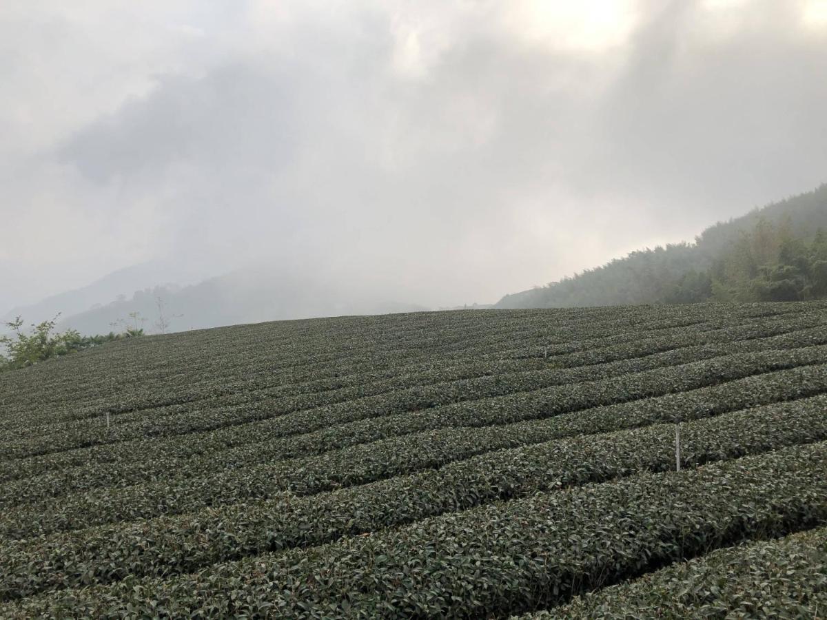 悟 佐茶 Satori Tea Villa Leye Eksteriør bilde
